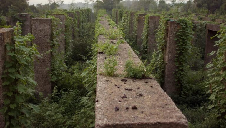 Animer des activités 14-18 pour enfants: sens, jeu, mémoire