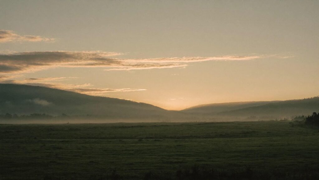Argonne vivante: forêts, mémoire et villages de récits