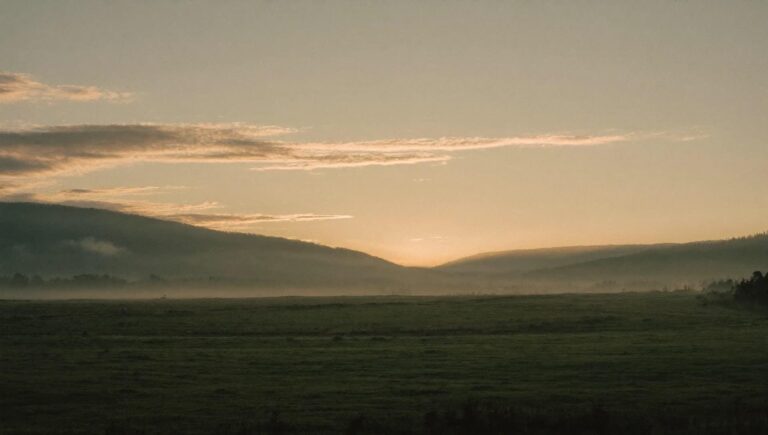 Argonne vivante: forêts, mémoire et villages de récits