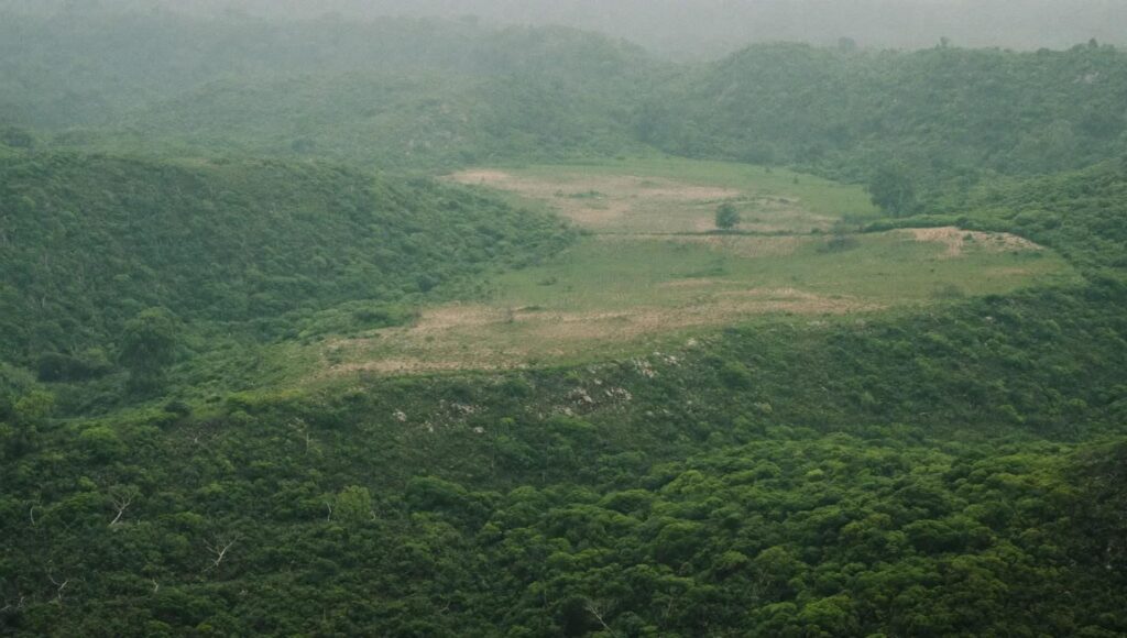 Circuits de la Grande Guerre: choisir, vivre et comprendre